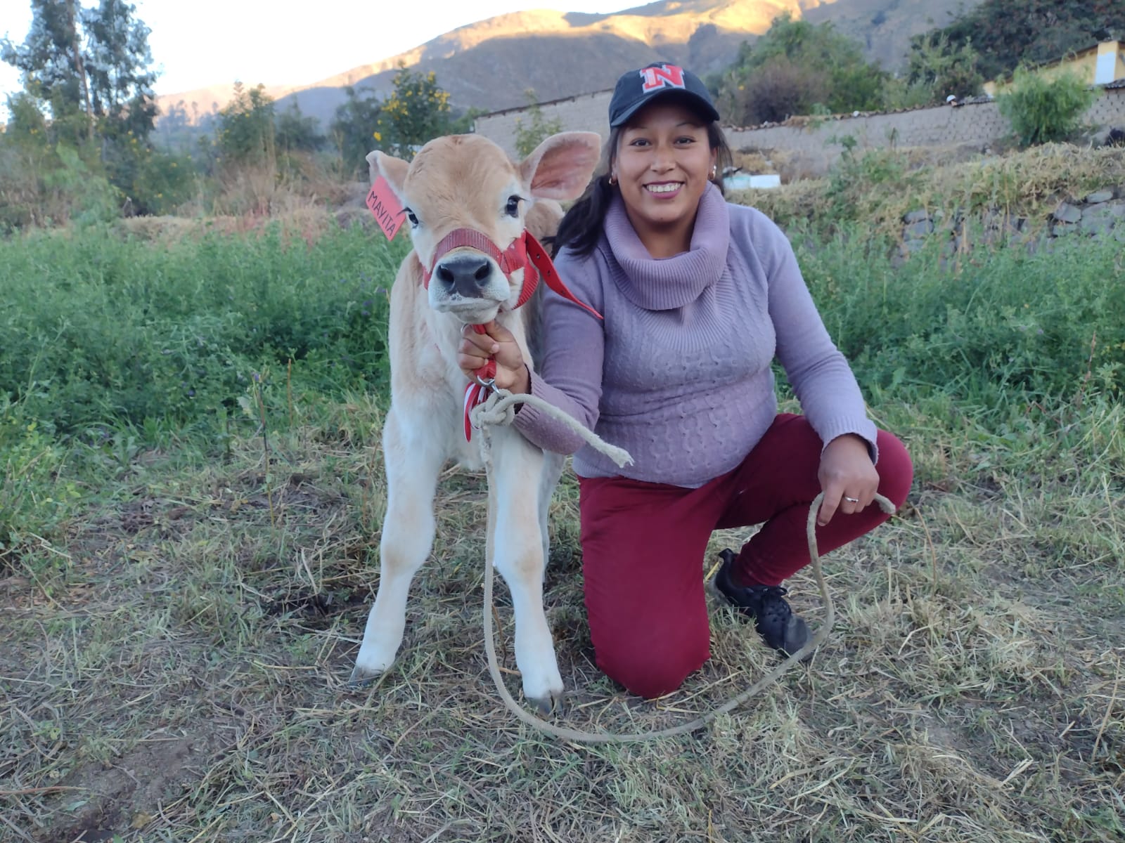 Productoras de Pausa ven mejorar su hato ganadero gracias al proyecto Bovino Paucar del Sara Sara