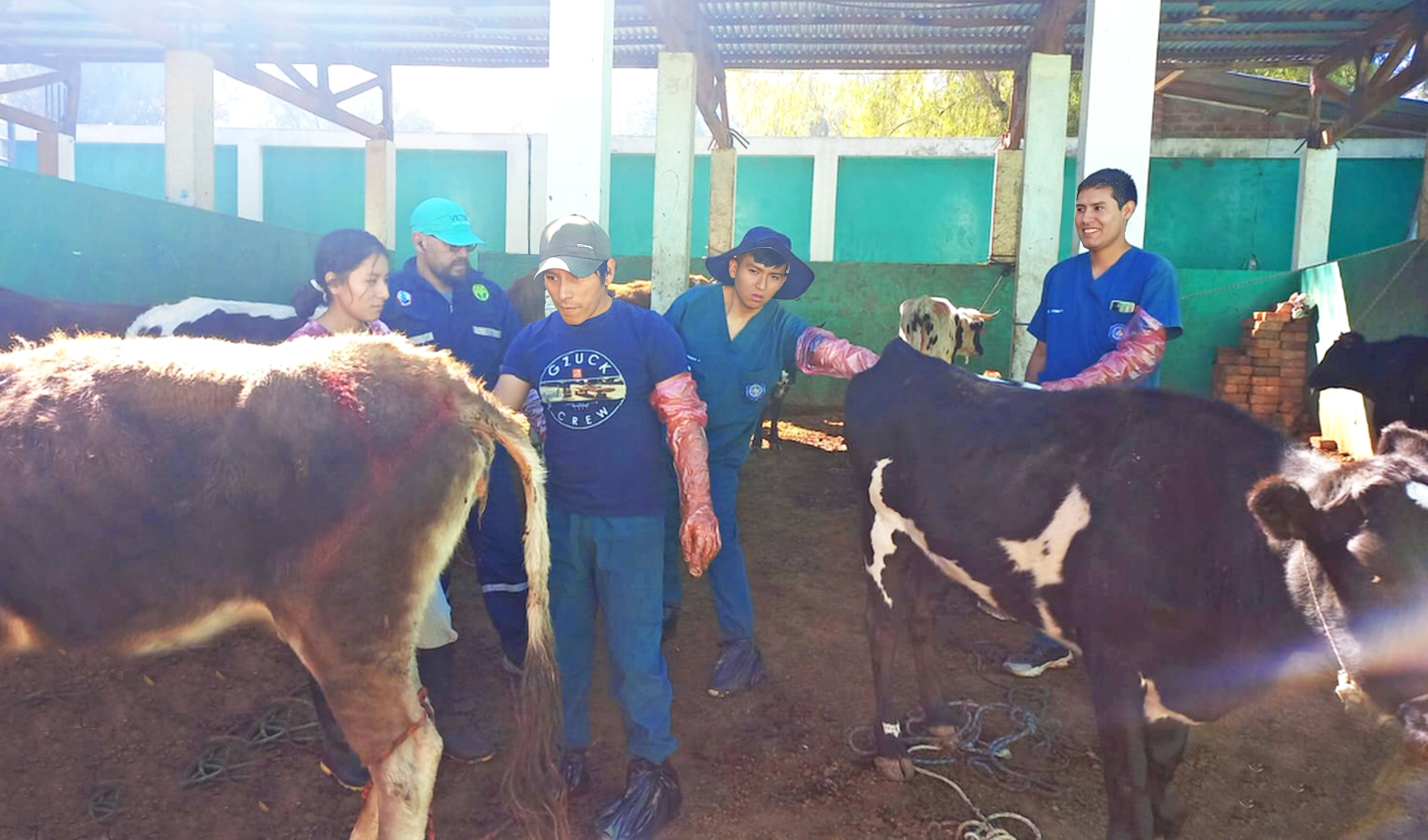 DRAA promueve la formación de promotores inseminadores en Huanta