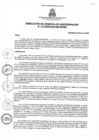 Vista preliminar de documento rga1132020gagmmpmn