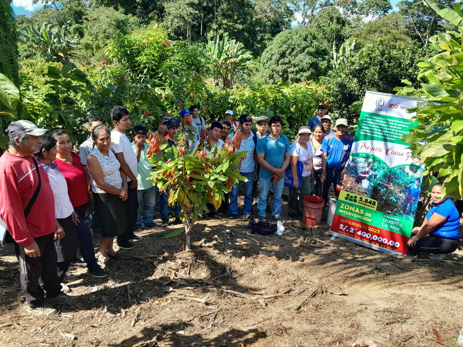 Agricultores del Vraem son capacitados en manejo de plantones de cacao