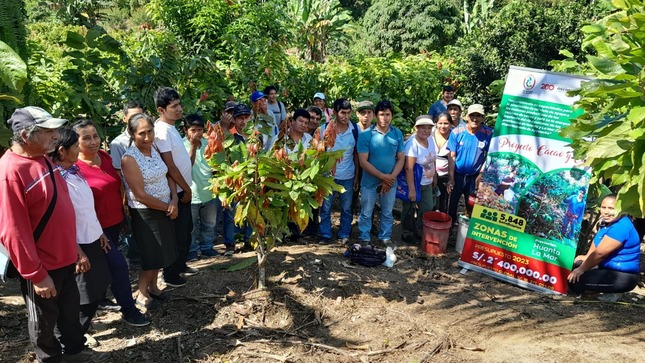 Agricultores del Vraem son capacitados en manejo de plantones de cacao