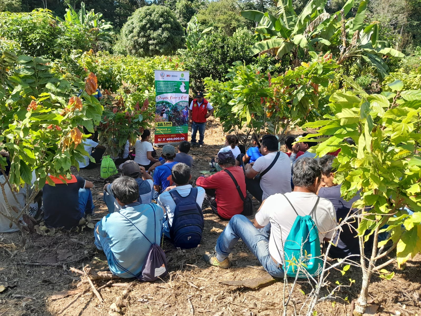 Agricultores del Vraem son capacitados en manejo de plantones de cacao