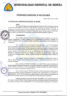 Vista preliminar de documento ORDENANZA MUNICIPAL N°002-2019-MDN