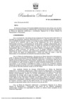 Vista preliminar de documento RD 100