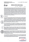 Vista preliminar de documento Resolución Directoral 105-2023uDYX4