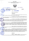 Vista preliminar de documento R.D 0915-2023