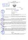Vista preliminar de documento R.D 0920-2023