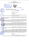 Vista preliminar de documento R.D 0936-2023