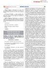 Vista preliminar de documento Publicación del Diario el Peruano 