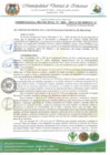 Vista preliminar de documento ORDENANZA MUNICIPAL N 005