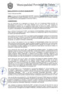 Vista preliminar de documento ra_246