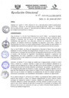 Vista preliminar de documento R.D.N°311-2023-HGJ-DE