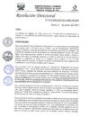 Vista preliminar de documento R.D.N°302-2023-HGJ-DE