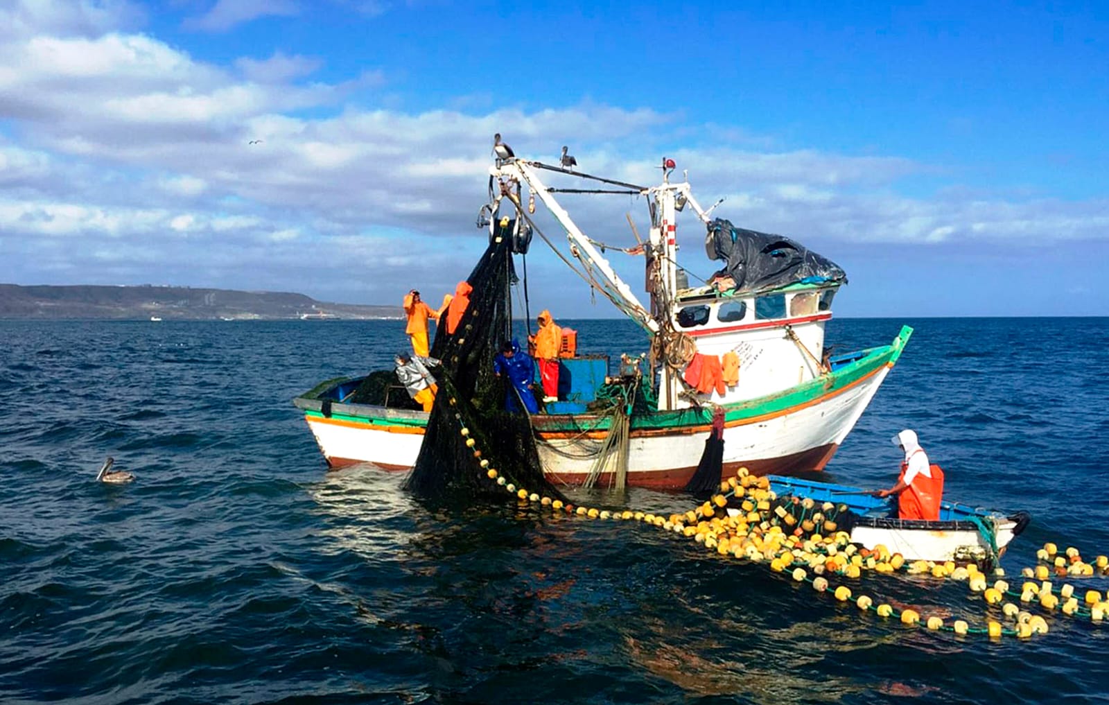 Produce estableció régimen provisional de pesca de merluza para el periodo 2023-2024