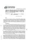 Vista preliminar de documento Resolución No. 029-2022-COFOPRI-TAP
