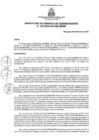 Vista preliminar de documento rga1932020gagmmpmn