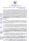 Vista preliminar de documento R.D.R.N°356-2023