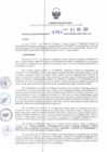 Vista preliminar de documento R.D.R.N°357-2023
