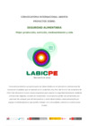 Vista preliminar de documento Convocatoria proyectos LABICPE.docx