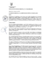 Vista preliminar de documento Resolución de Gerencia Municipal N.° 207-2022-MDSA/GM