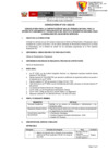 Vista preliminar de documento 04 Convocatoria 019 OPP POI[R][R][R][R]