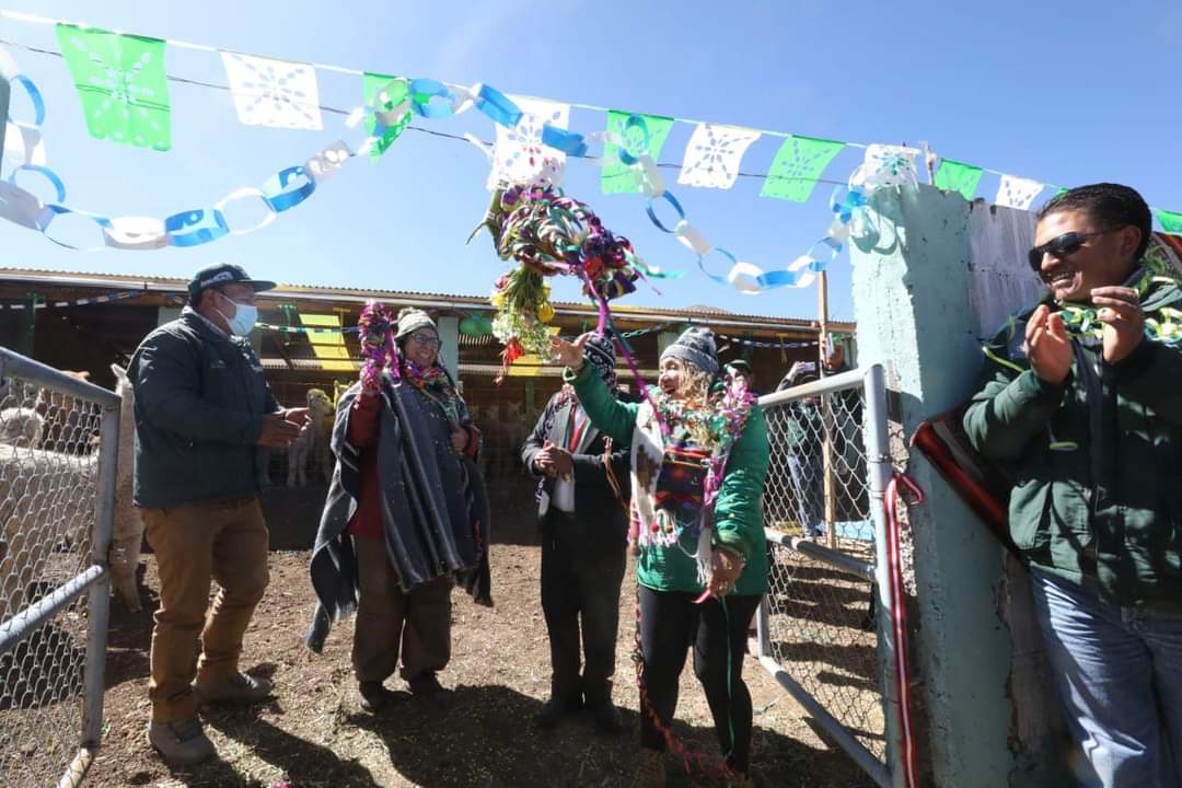 Entrega de cobertizos - Puno