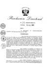 Vista preliminar de documento RD 238-2023
