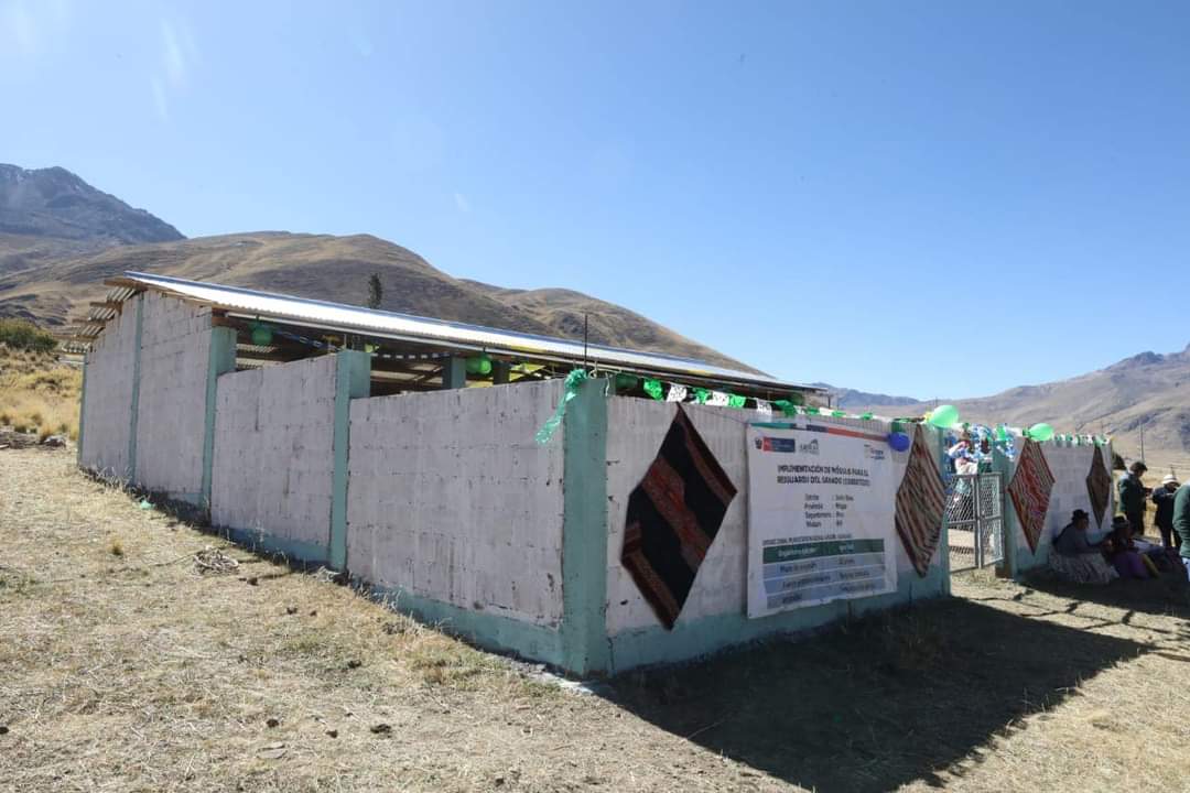 Entrega de cobertizos - Puno