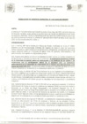 Vista preliminar de documento R.G N° 118-2023