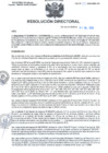 Vista preliminar de documento RD N°255-2023-HMA-DG