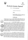 Vista preliminar de documento R.E.R 411-2019