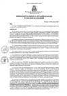 Vista preliminar de documento rga2282020gagmmpmn