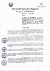 Vista preliminar de documento R.E.R 420-2019
