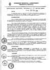 Vista preliminar de documento Resolución Ejecutiva RegionalnSrdz