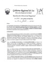 Vista preliminar de documento RDR-0545-2023