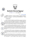 Vista preliminar de documento RDR-0949-2019-DRELM