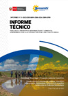 Vista preliminar de documento INFORME TÉCNICO 001-SMN-SEA-SPM