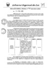 Vista preliminar de documento rgr_030_2022_grafk6Vsp