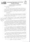 Vista preliminar de documento Acuerdo Regional Nº 133-2023