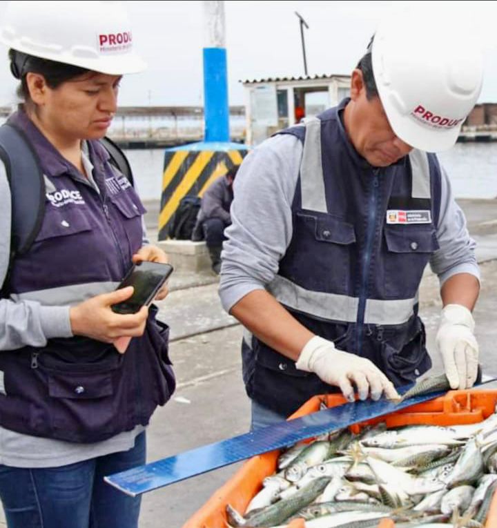 Pesca ilegal: Produce decomisó más de 1100 toneladas de recursos hidrobiológicos 
