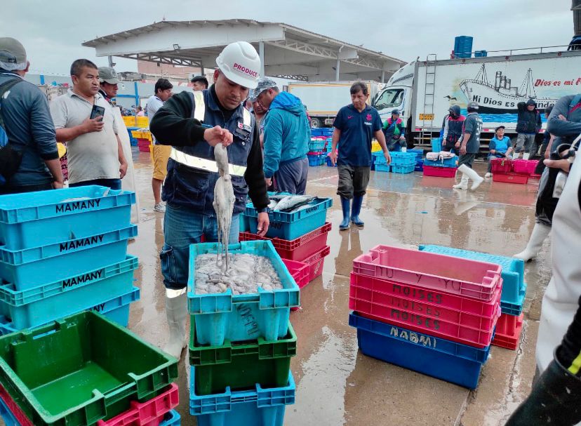 Pesca ilegal: Produce decomisó más de 1100 toneladas de recursos hidrobiológicos 