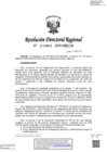 Vista preliminar de documento RDR-2084-2019-DRELMG4coT