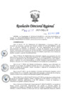 Vista preliminar de documento RDR-1637-2019-DRELManwTC