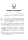 Vista preliminar de documento RDR-1849-2019-DRELM6oODO