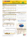 Vista preliminar de documento Boletín de comercialización de MAÍZ AMARILLO DURO  - 05/07/23