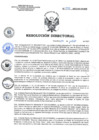 Vista preliminar de documento RD 099-2023-SA-DG-INR