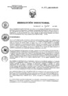 Vista preliminar de documento RD 101-2023-SA-DG-INR