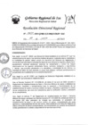 Vista preliminar de documento RDR-0620-2023
