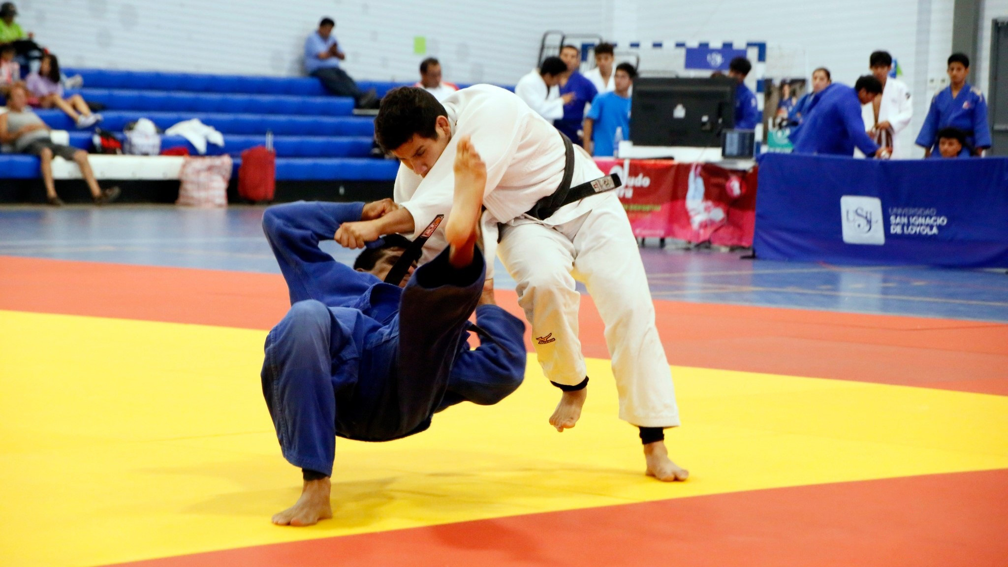 judo