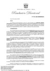Vista preliminar de documento RD 104